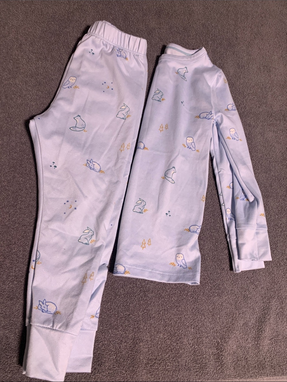 Cloud Island light blue pajama set forest animals